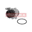 Pompe à eau KAMOKA T0023 - Visuel 1
