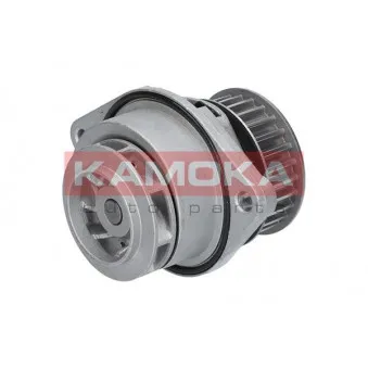 Pompe à eau KAMOKA T0024