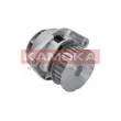 Pompe à eau KAMOKA T0024 - Visuel 2