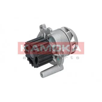 Pompe à eau KAMOKA T0025