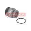Pompe à eau KAMOKA T0026 - Visuel 1