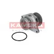 Pompe à eau KAMOKA T0026 - Visuel 2