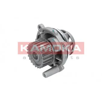 Pompe à eau KAMOKA T0028