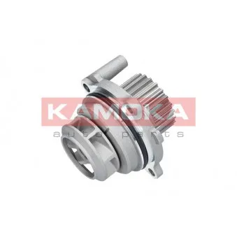 Pompe à eau KAMOKA T0029