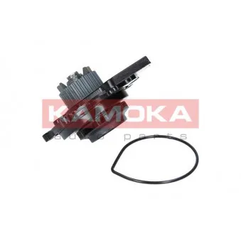 Pompe à eau KAMOKA T0031
