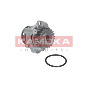 Pompe à eau KAMOKA T0033