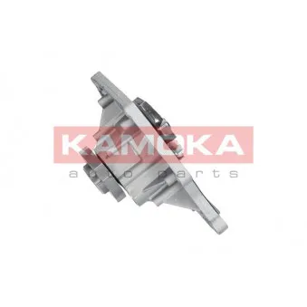 Pompe à eau KAMOKA T0035