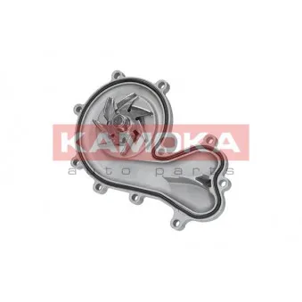 Pompe à eau KAMOKA T0036