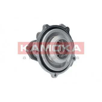 Pompe à eau KAMOKA T0038