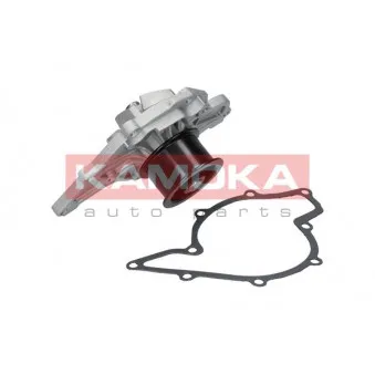 Pompe à eau KAMOKA T0040