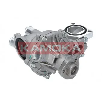 Pompe à eau KAMOKA T0043