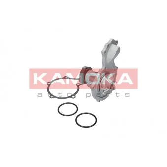 Pompe à eau KAMOKA T0044