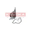 Pompe à eau KAMOKA T0047 - Visuel 1