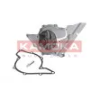 Pompe à eau KAMOKA T0047 - Visuel 2