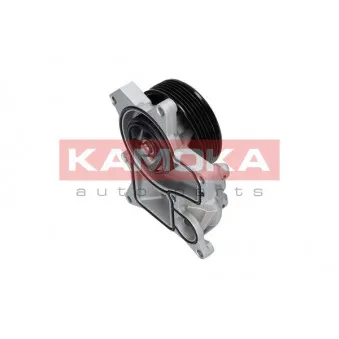 Pompe à eau KAMOKA T0048