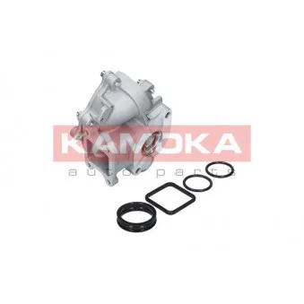 Pompe à eau KAMOKA T0049
