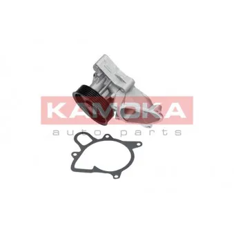 Pompe à eau KAMOKA T0052