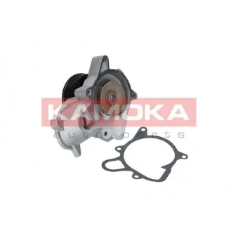 Pompe à eau KAMOKA T0053