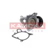 Pompe à eau KAMOKA T0053 - Visuel 2