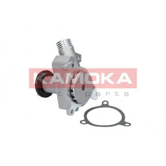 Pompe à eau KAMOKA T0054