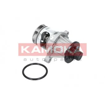 Pompe à eau KAMOKA T0056