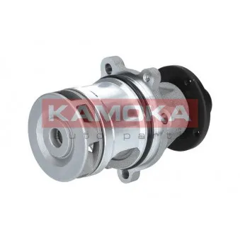 Pompe à eau KAMOKA T0057