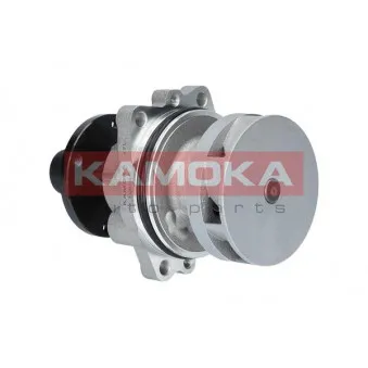 Pompe à eau KAMOKA T0058