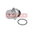 Pompe à eau KAMOKA T0059 - Visuel 1