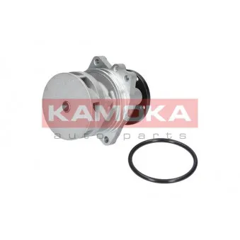 Pompe à eau KAMOKA T0059