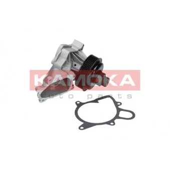 Pompe à eau KAMOKA T0060