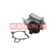 Pompe à eau KAMOKA T0060 - Visuel 2