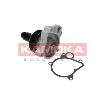 Pompe à eau KAMOKA T0062