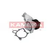Pompe à eau KAMOKA T0063 - Visuel 1