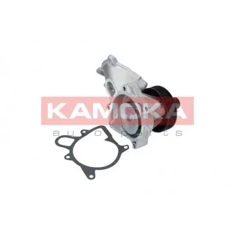 Pompe à eau KAMOKA T0063