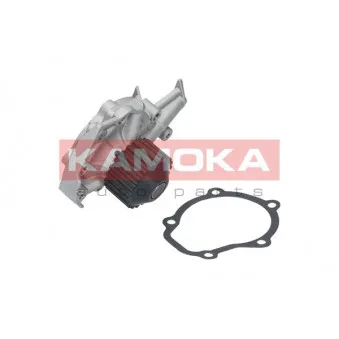 Pompe à eau KAMOKA T0065