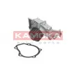 Pompe à eau KAMOKA T0065 - Visuel 2
