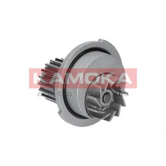 Pompe à eau KAMOKA T0066