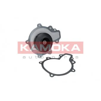 Pompe à eau KAMOKA T0068