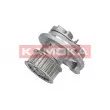 Pompe à eau KAMOKA T0069 - Visuel 1
