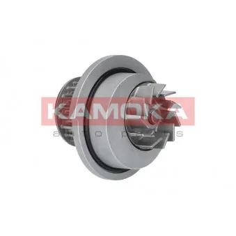 Pompe à eau KAMOKA T0070