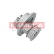 Pompe à eau KAMOKA T0070 - Visuel 3