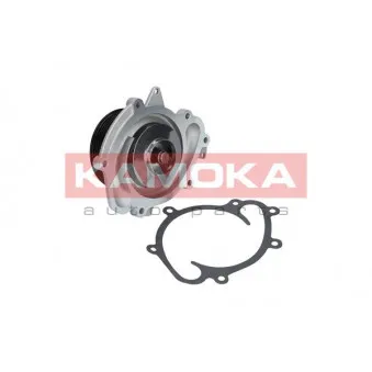 Pompe à eau KAMOKA T0073