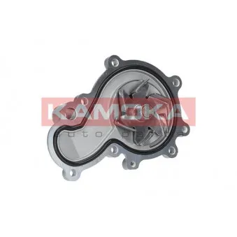 Pompe à eau KAMOKA T0075