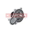 Pompe à eau KAMOKA T0076 - Visuel 1