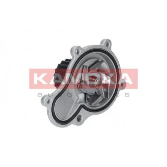 Pompe à eau KAMOKA T0076