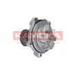 Pompe à eau KAMOKA T0077 - Visuel 1