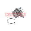 Pompe à eau KAMOKA T0078 - Visuel 1