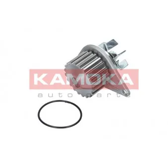 Pompe à eau KAMOKA T0078