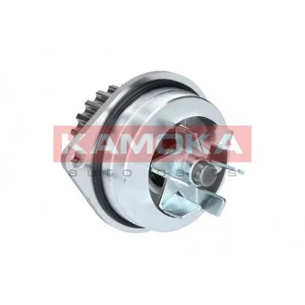 Pompe à eau KAMOKA T0079