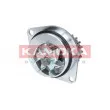 Pompe à eau KAMOKA T0080 - Visuel 2